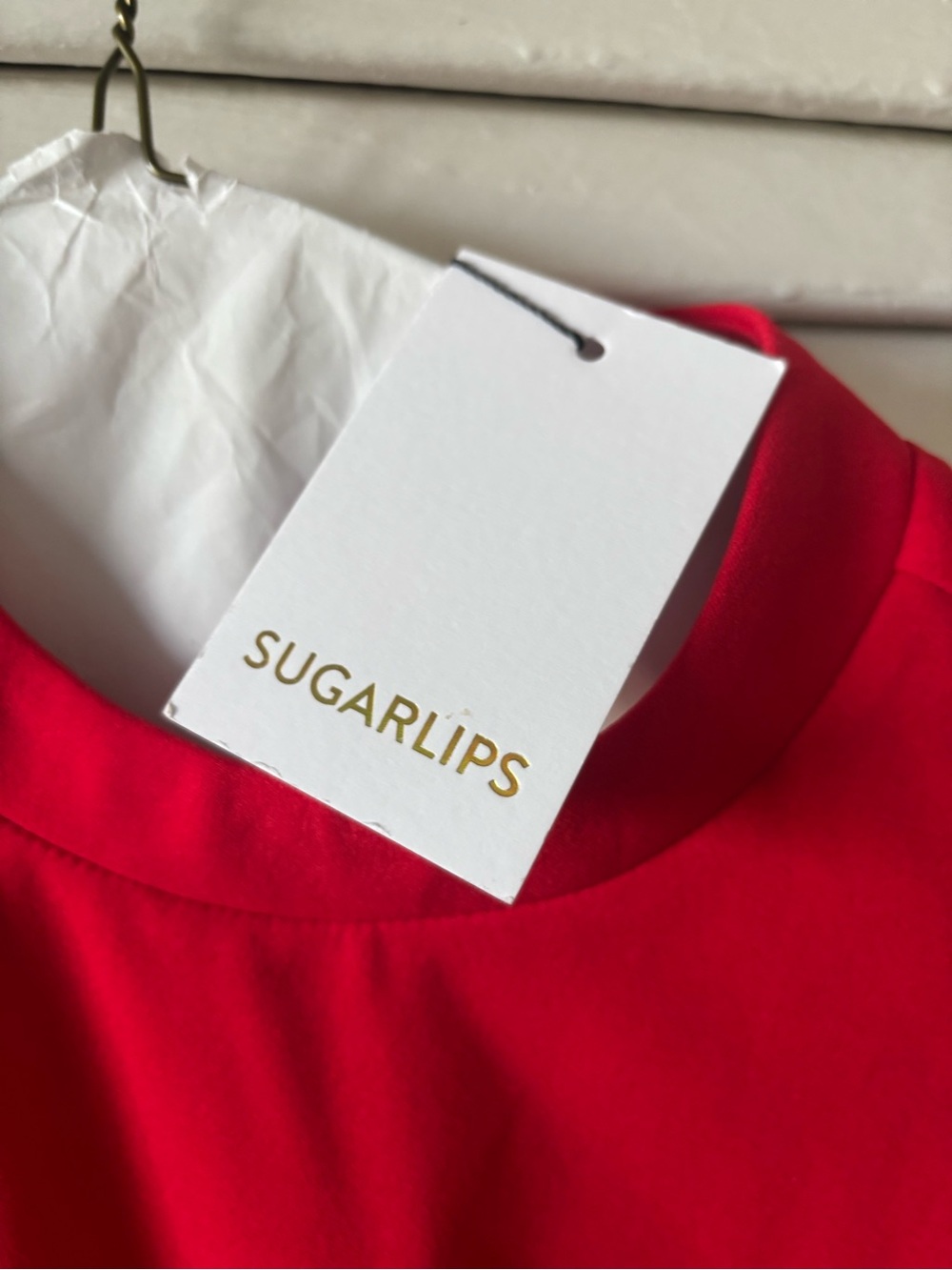 Sugarlips Red Sleeveless Maxi Dress with Pink Fringe Hem - Picture 4 of 4